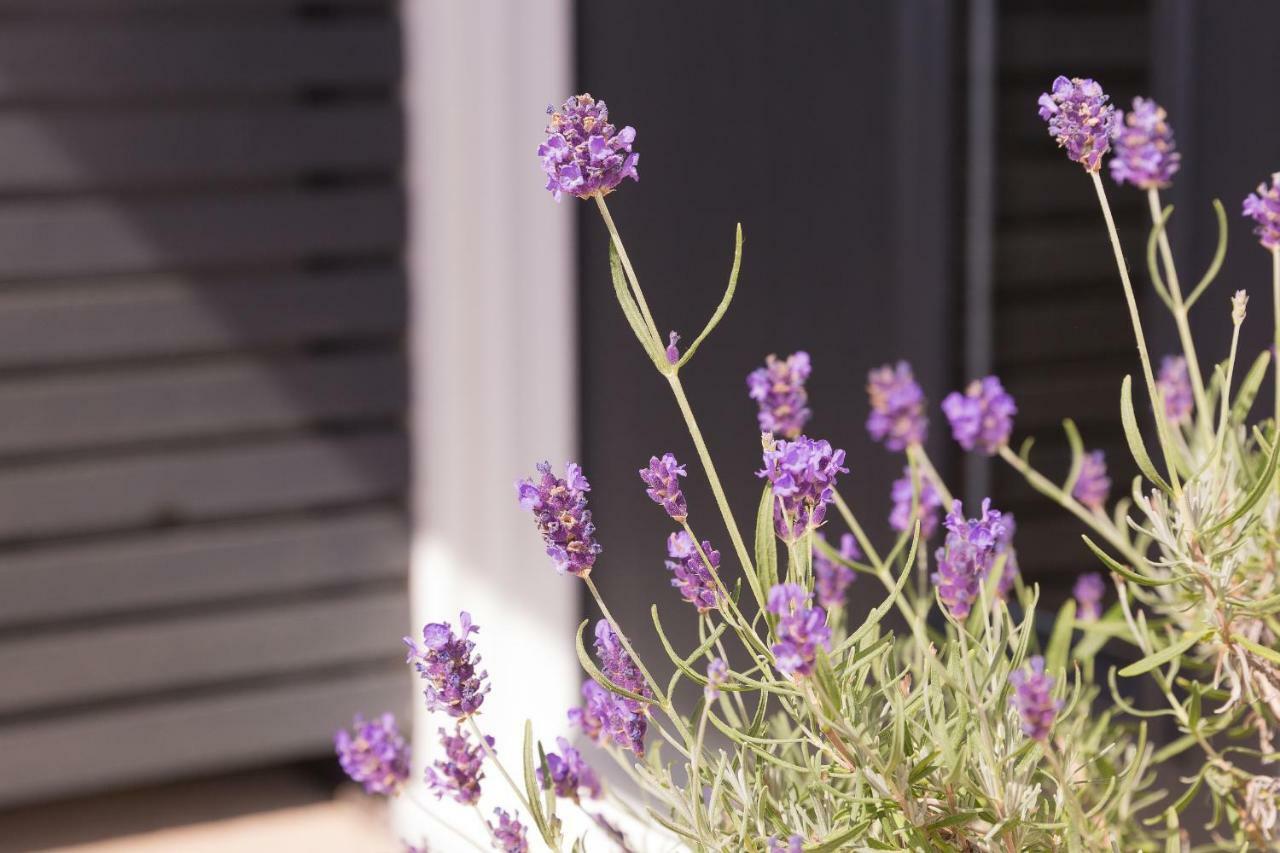 Bentleys Coast And Country B&B Lymington Eksteriør bilde