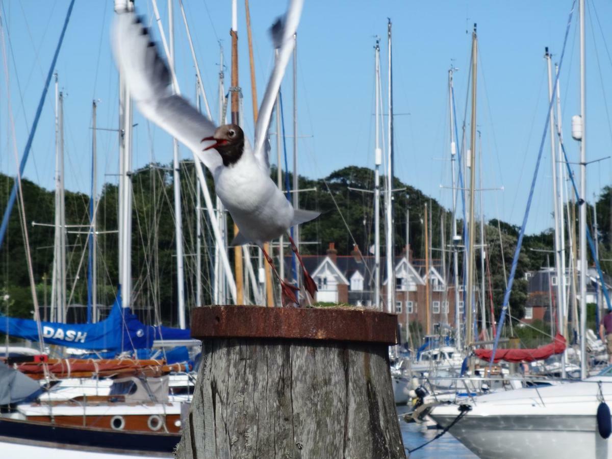 Bentleys Coast And Country B&B Lymington Eksteriør bilde